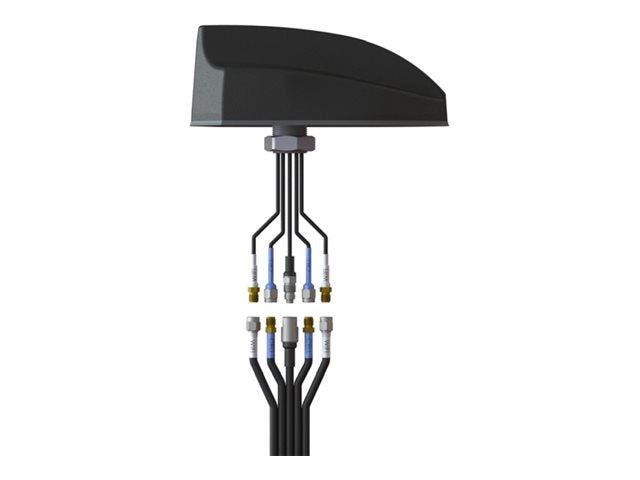 Airgain EZConnect - Antenna extension cable - TNC (M) - 14 ft - coaxial - LMR-195 CH-CWG-4-4-4-14