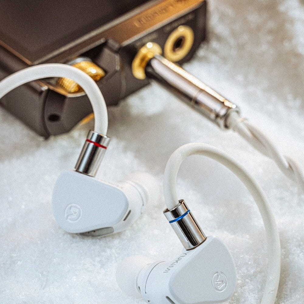 CVJ YUKIMI New-Gen 10mm Dynamic Driver In-Ear Earphone