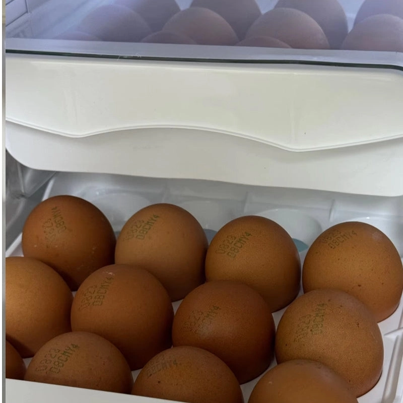 Double Drawer Egg Box - 32 Holes