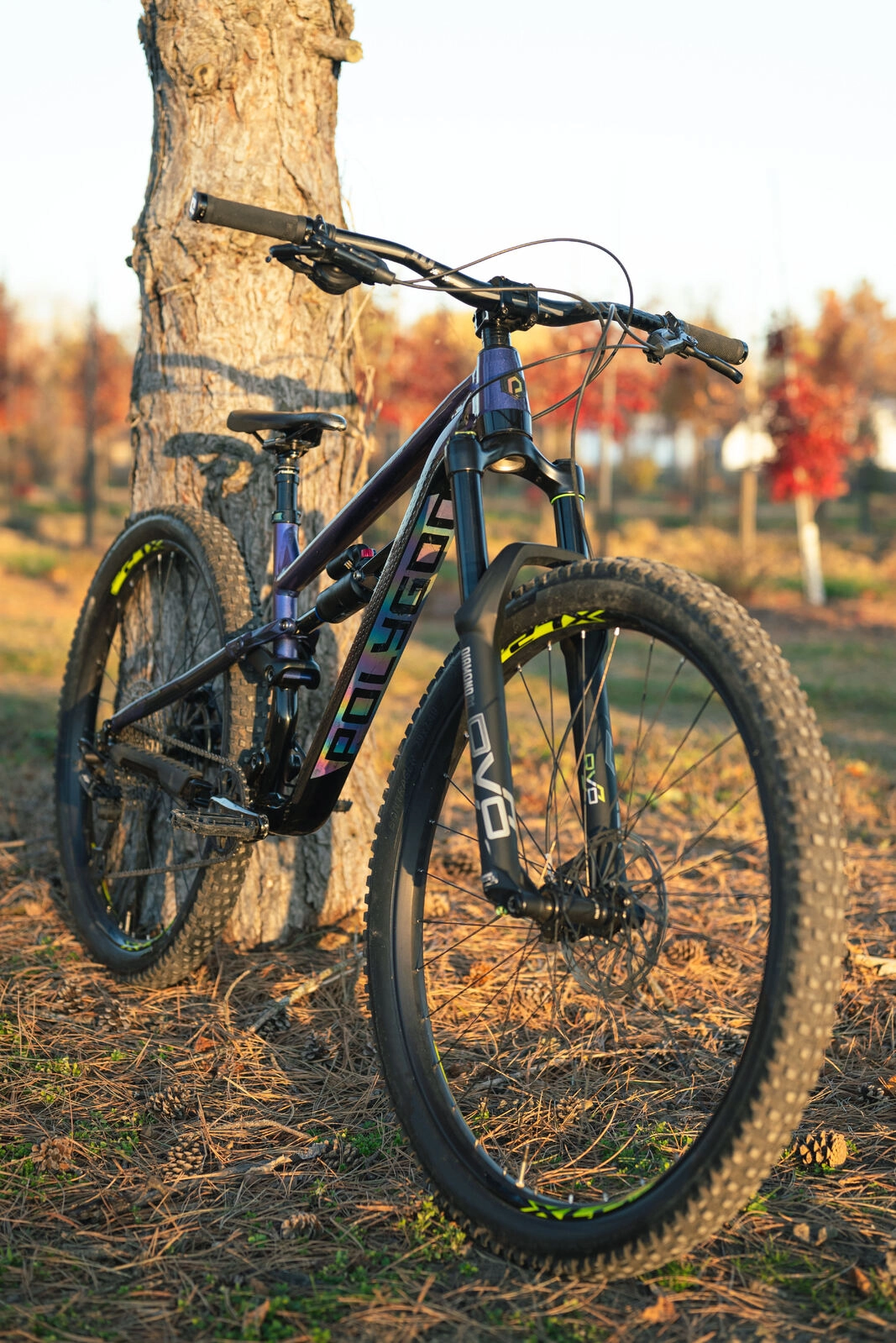 DVO Suspension Diamond D1 Fork - 51mm