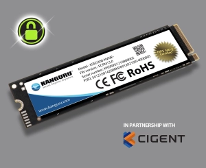 Kanguru Defender SED300™ FIPS 140-2, M.2 NVMe Internal Self-Encrypting Solid State Drive, Kanguru Data Defense Bundle