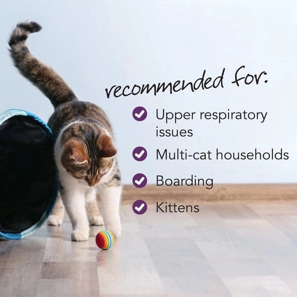 VetriScience Vetri-Lysine Plus Chicken Liver Flavored Soft Chews Immune Supplement for Cats